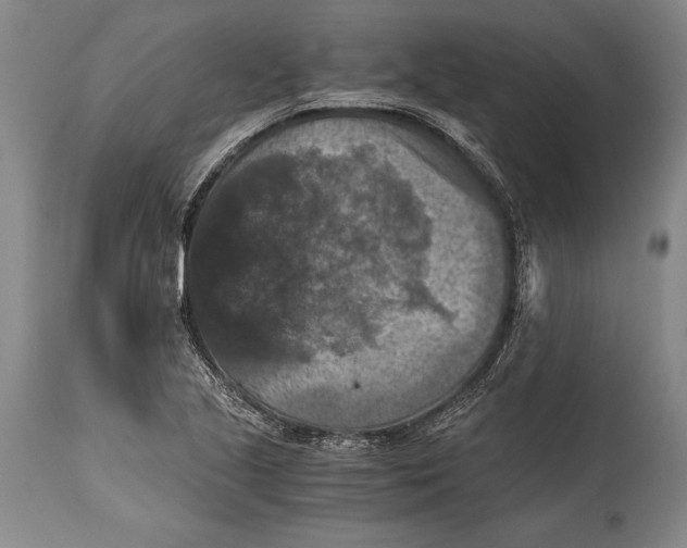 X0000115411221200911171351