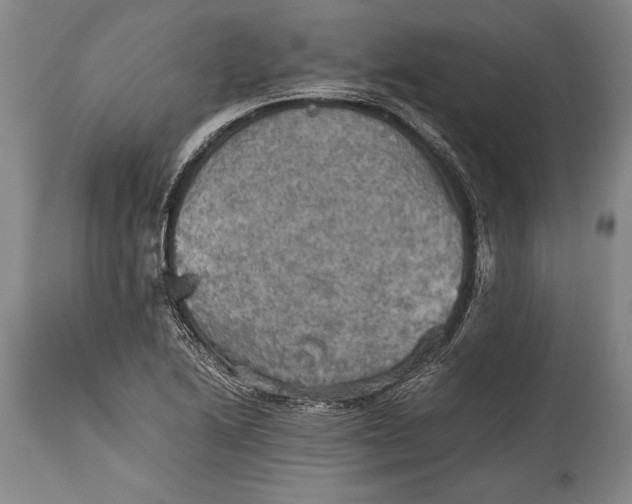 X0000115411222200911171351