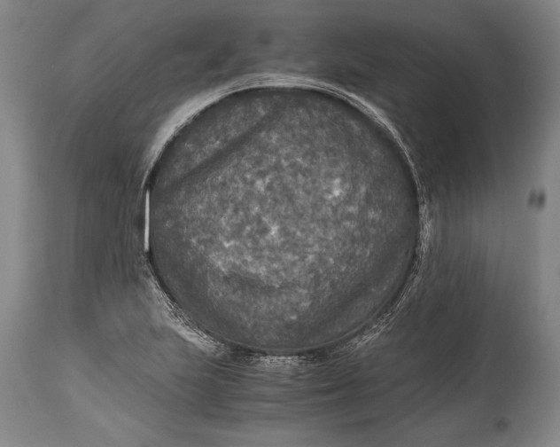 X0000115411223200911171351