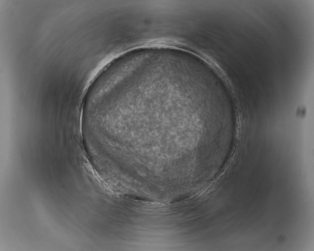 X0000115411224200911171351