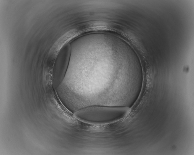 X0000115411225200911171351