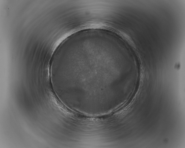 X0000115411226200911171351