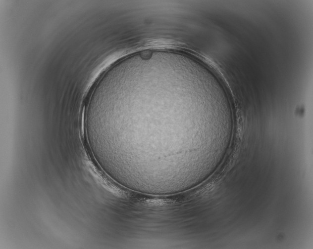 X0000115411227200911171351