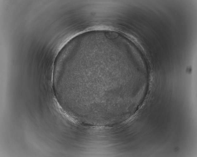 X0000115411228200911171351