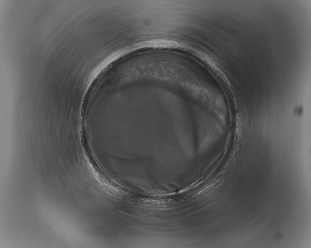 X0000115411229200911171351