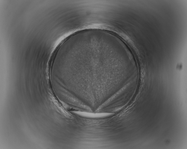 X0000115411230200911171351