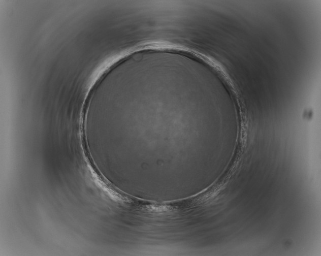 X0000115411231200911171351