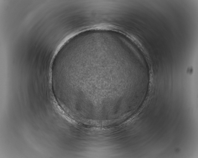 X0000115411232200911171351