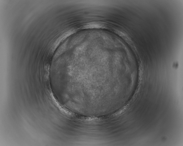 X0000115411233200911171351