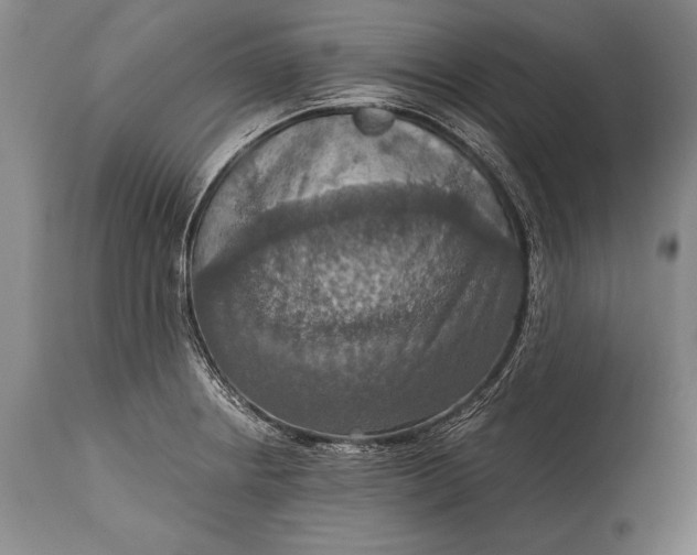 X0000115411234200911171351