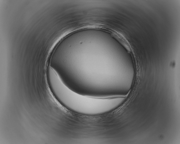 X0000115411235200911171351