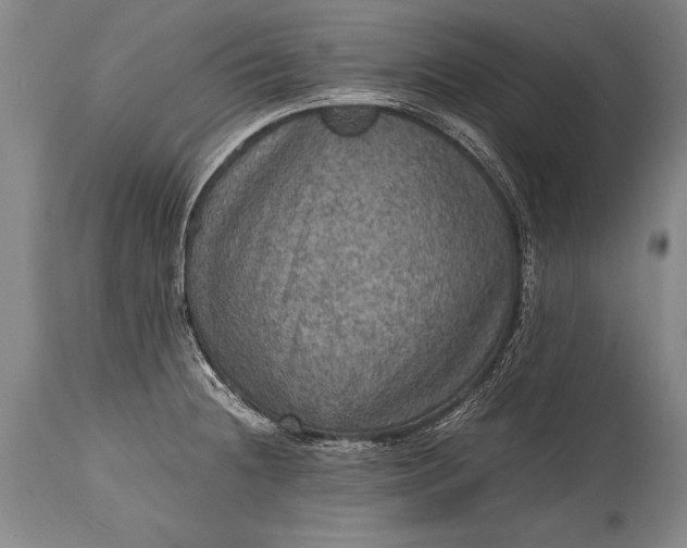 X0000115411236200911171351