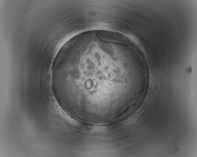 X0000115411238200911171351