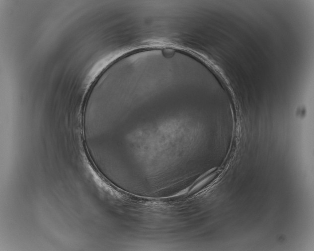 X0000115411239200911171351