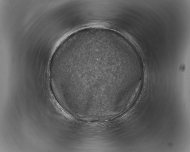 X0000115411240200911171351