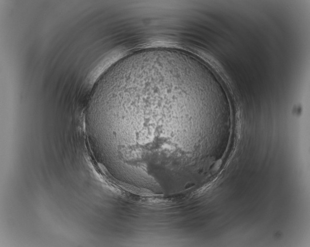 X0000115411241200911171351