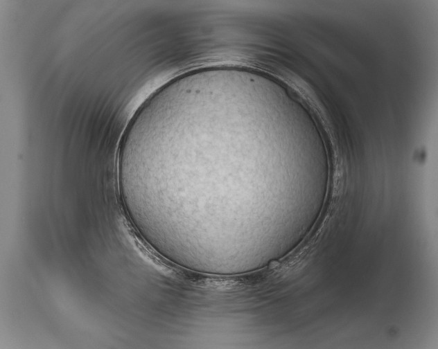 X0000115411242200911171351