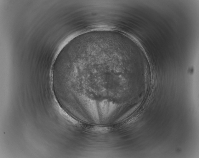 X0000115411243200911171351
