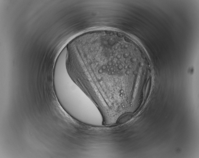 X0000115411244200911171351
