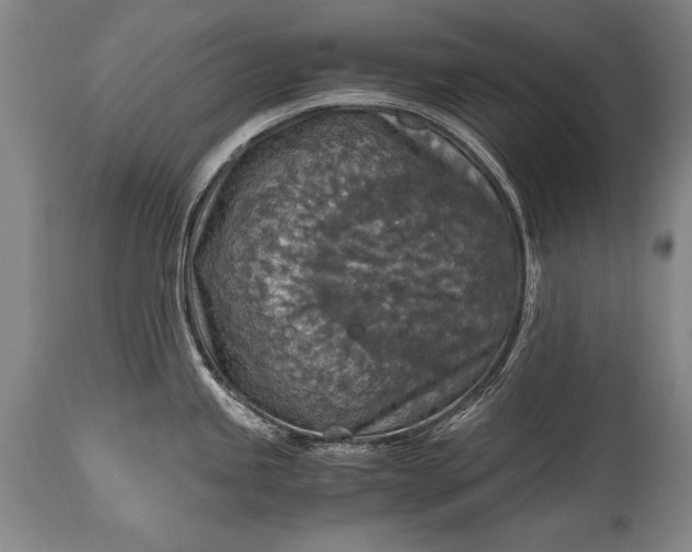 X0000115411245200911171351