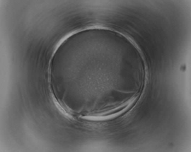 X0000115411246200911171351