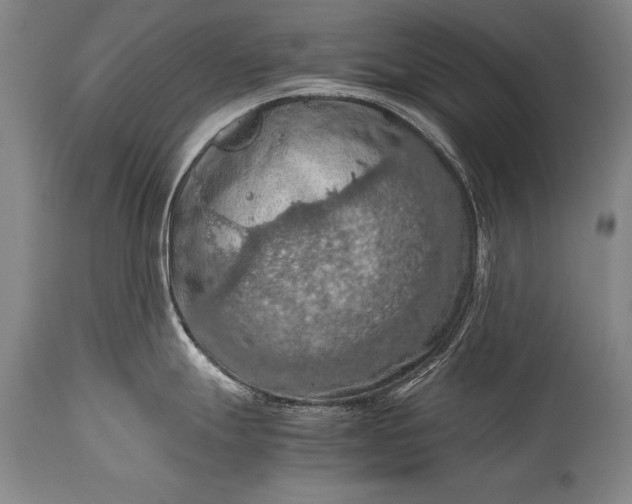 X0000115411247200911171352