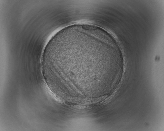 X0000115411248200911171352