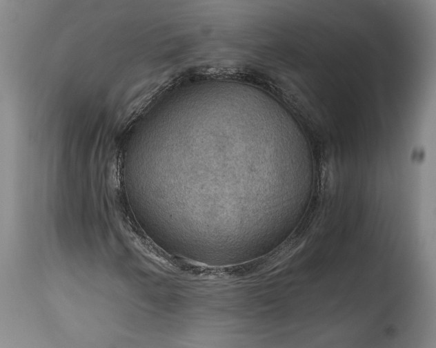 X0000115411250200911171351
