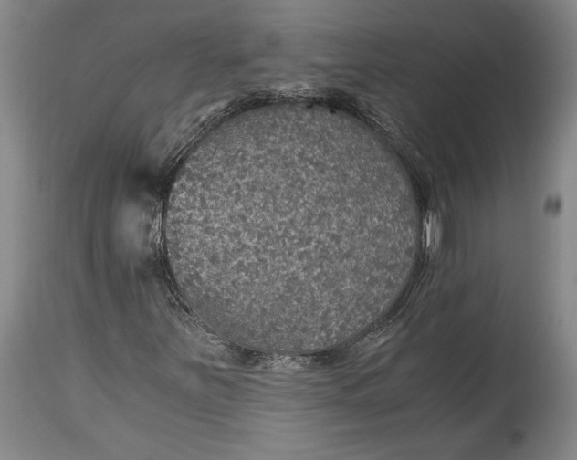 X0000115411251200911171351