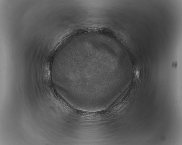 X0000115411252200911171351