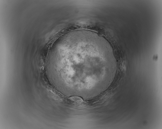 X0000115411253200911171351