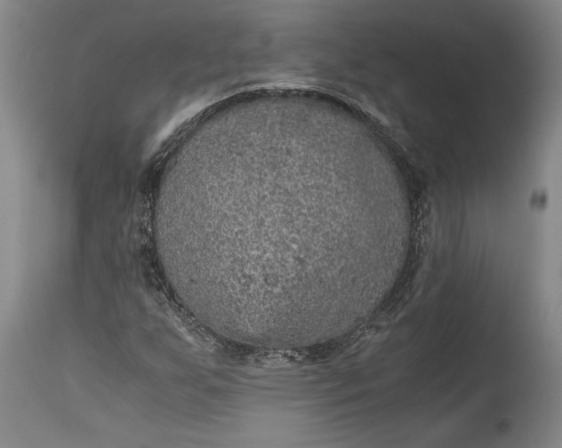 X0000115411255200911171351