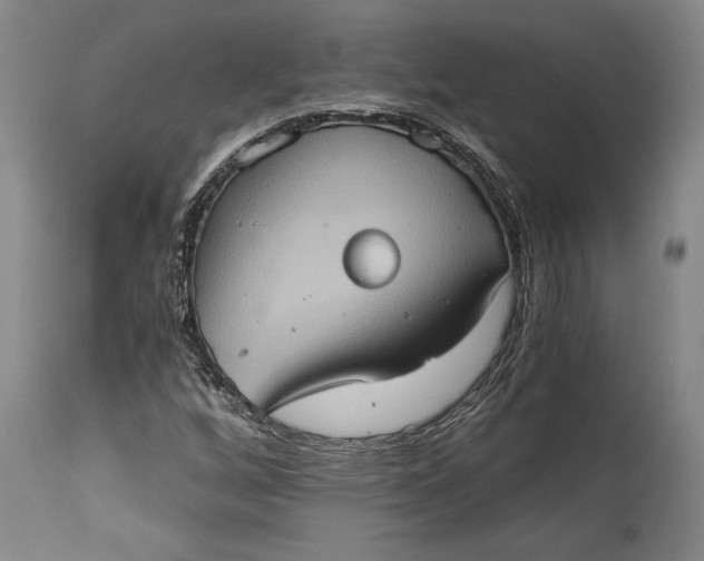 X0000115411256200911171351