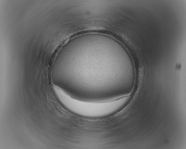 X0000115411257200911171351