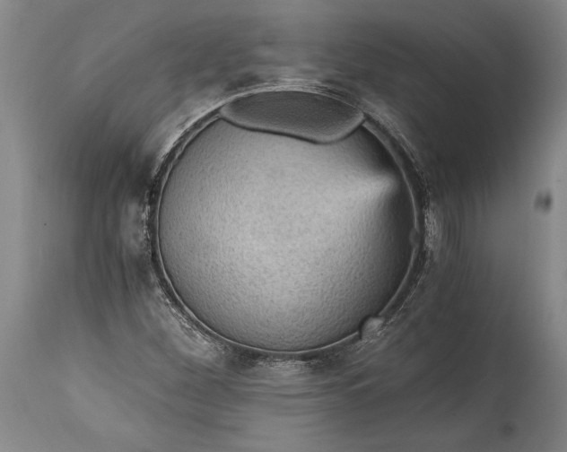 X0000115411260200911171351