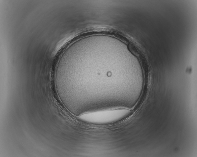 X0000115411261200911171351