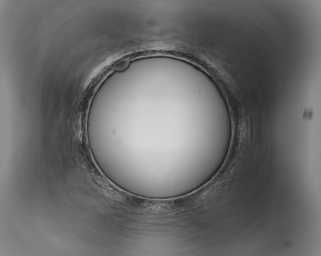 X0000115411262200911171351