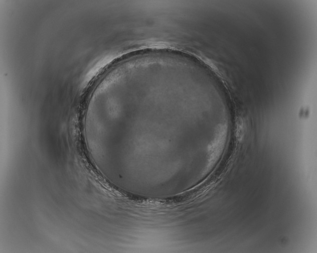 X0000115411263200911171351