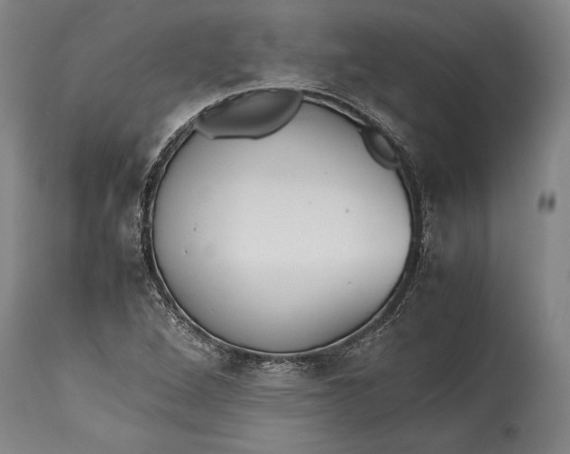 X0000115411264200911171351