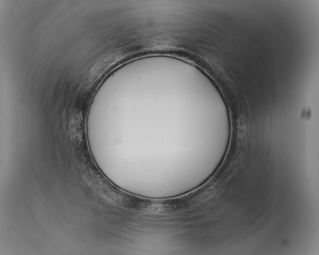 X0000115411265200911171351