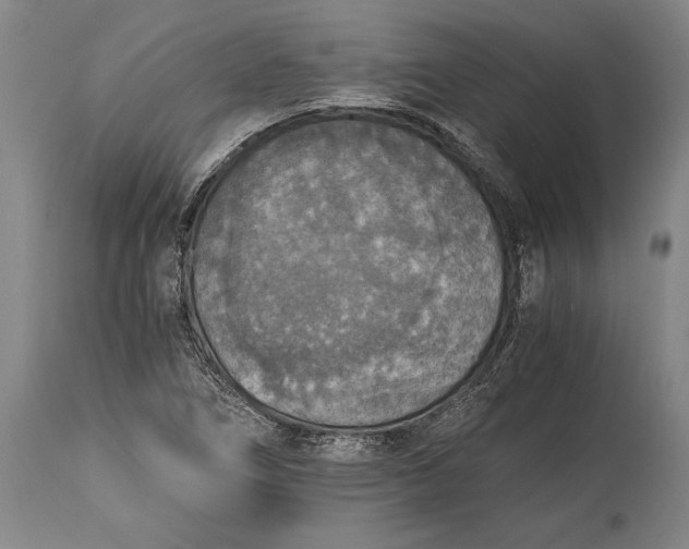 X0000115411266200911171351