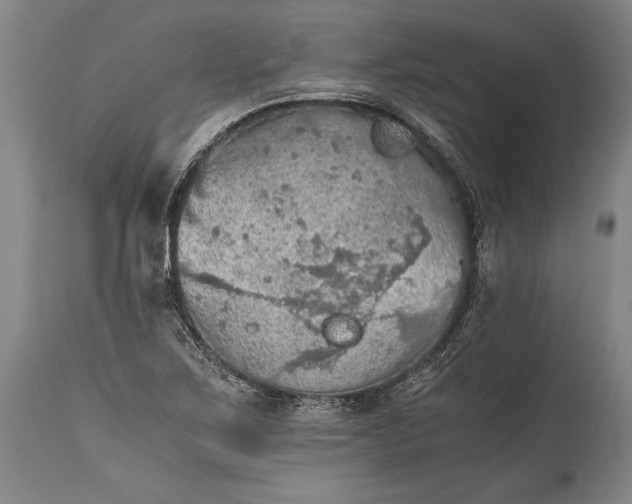 X0000115411267200911171351