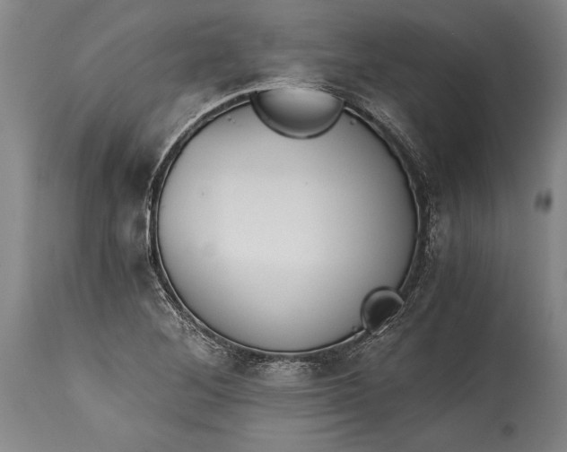 X0000115411268200911171351