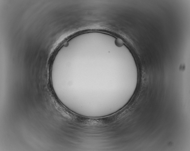 X0000115411270200911171351