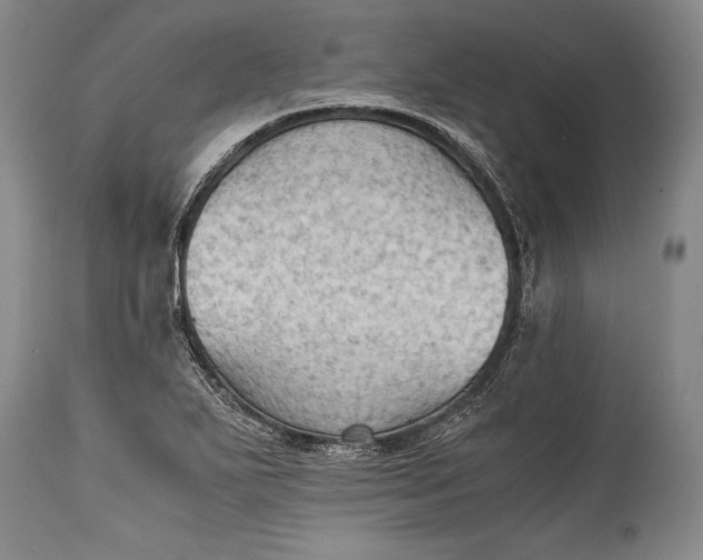 X0000115411271200911171351