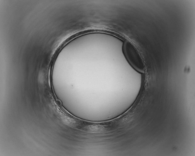 X0000115411272200911171351