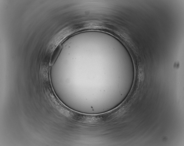 X0000115411273200911171351