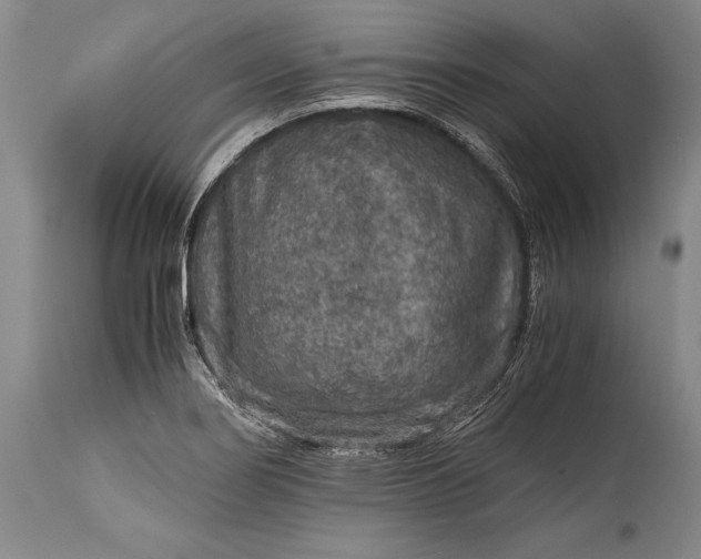 X0000115411274200911171351