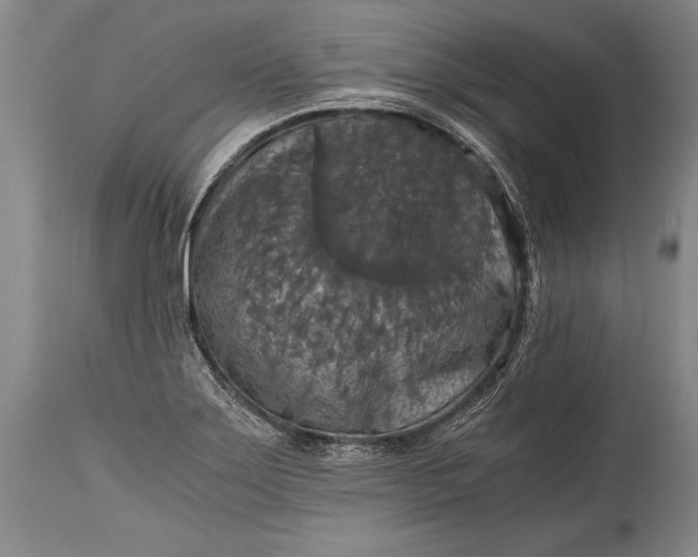 X0000115411275200911171350