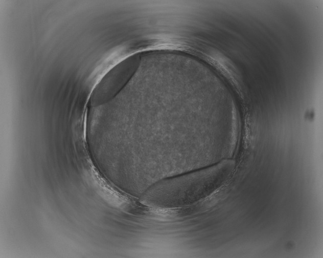 X0000115411276200911171350
